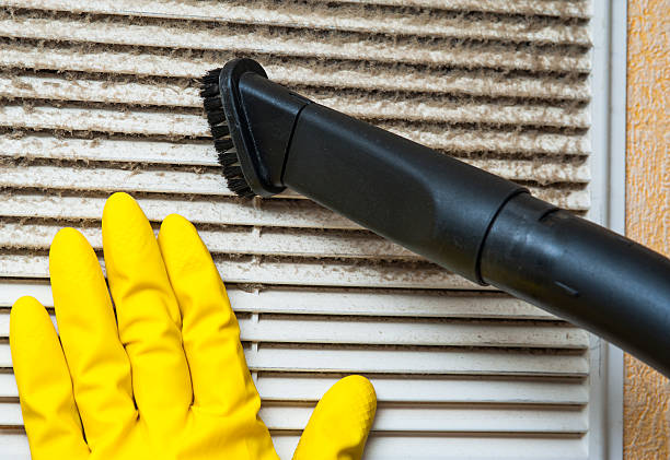 Best Professional Duct Cleaning Services  in , SC